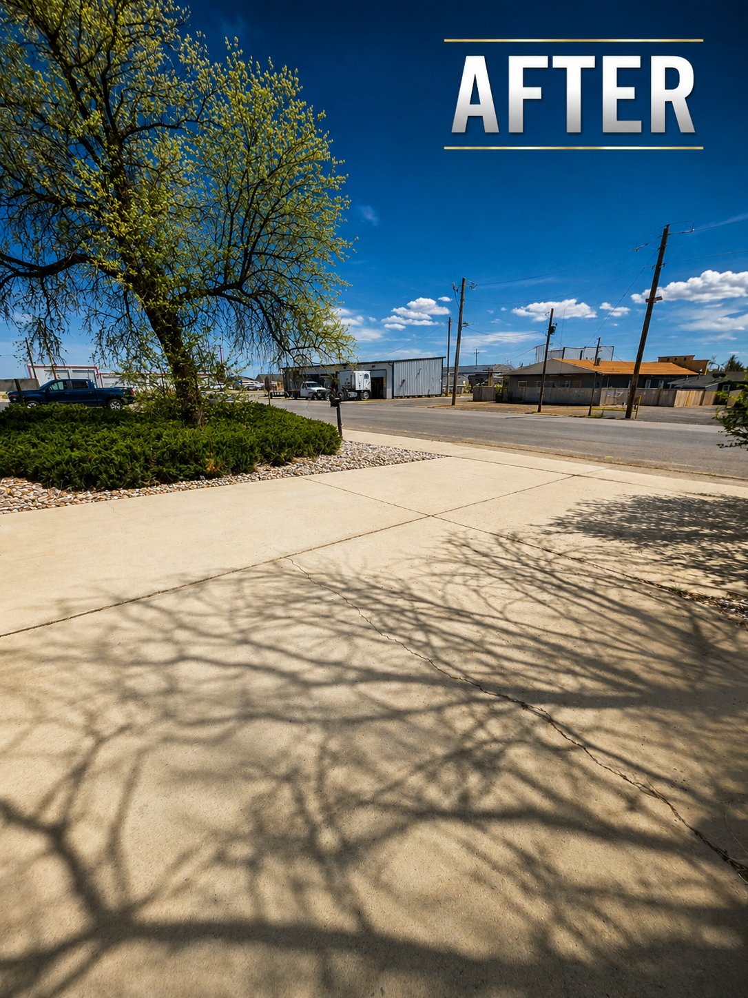 Yard waste removal in Denver