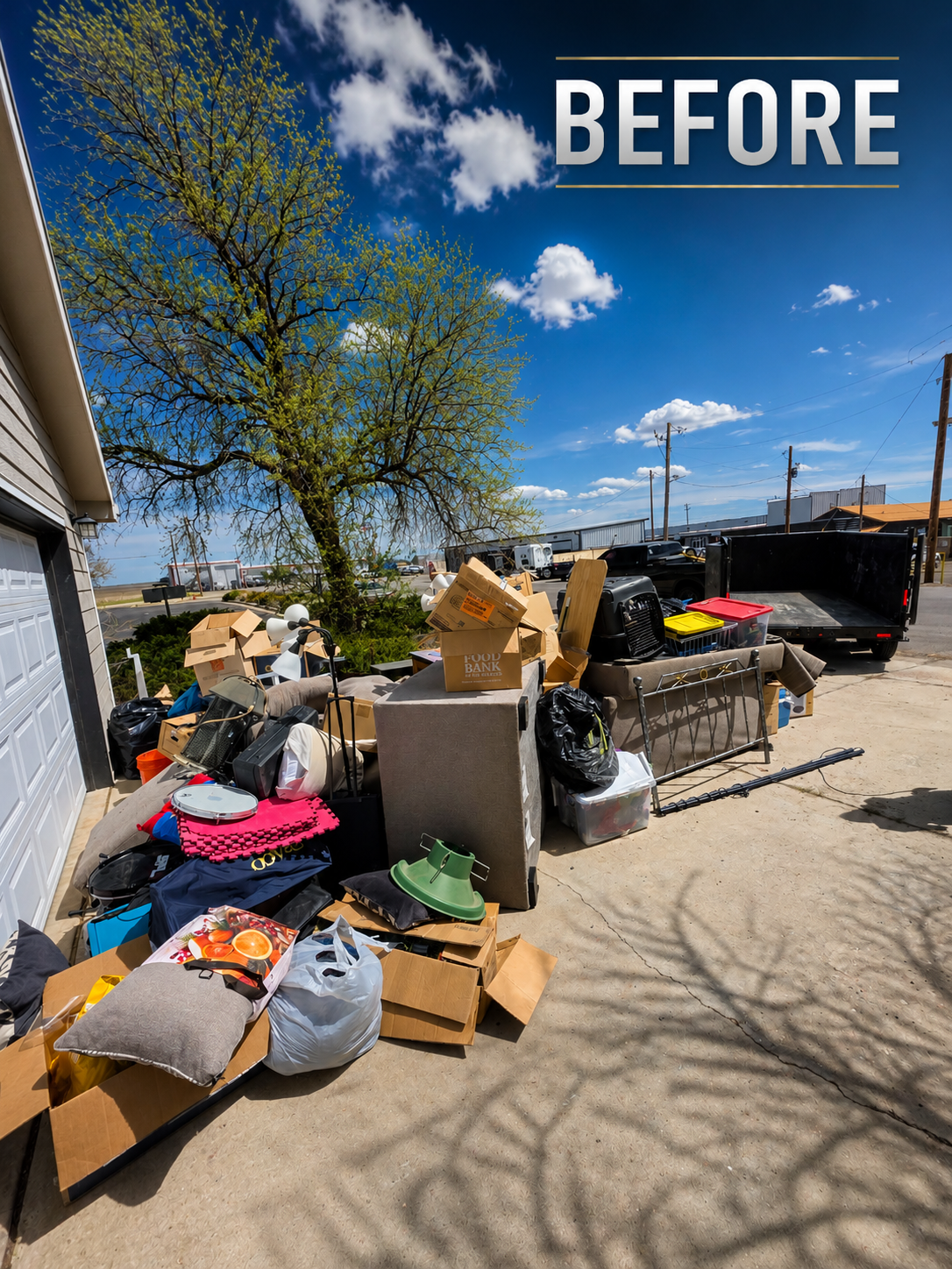 Backyard cleanout — before